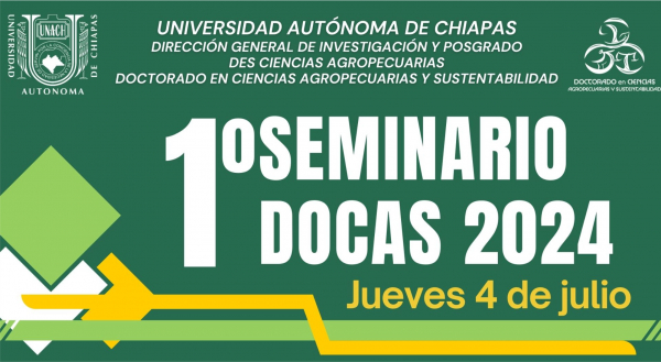 1° SEMINARIO DOCAS 2024